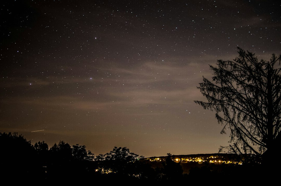 suspenseful night scene